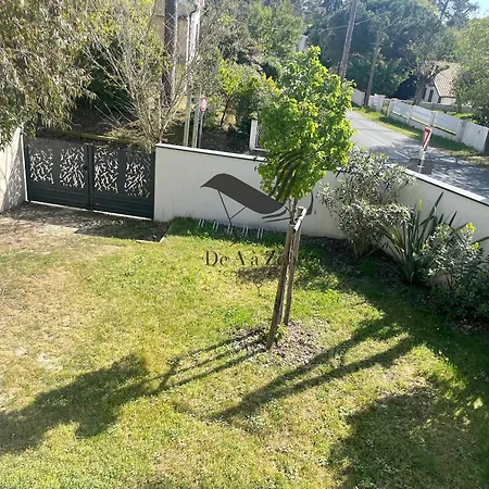 Holiday home La Petite Cepe - Au Bord De La Et De La Foret *