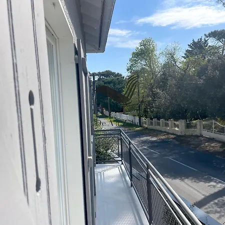 La Petite Cepe - Au Bord De La Et De La Foret *