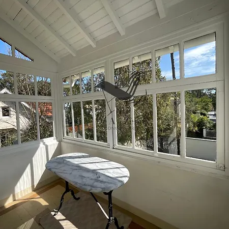 Holiday home La Petite Cepe - Au Bord De La Et De La Foret *